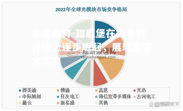 雄鹿堡在德甲积分榜上逐步崛起，展现出强大实力