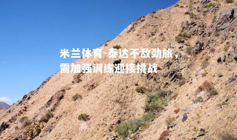 泰达不敌劲旅，需加强训练迎接挑战